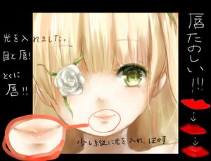 Rating: Safe Score: 0 Tags: 1girl bangs blonde_hair face flower glasses green_eyes image kirakishou letterboxed looking_at_viewer rose solo white_flower white_rose User: admin