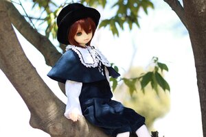 Rating: Safe Score: 0 Tags: 1girl bare_tree brown_hair capelet doll dress green_eyes hat heterochromia long_sleeves looking_at_viewer plant red_eyes short_hair sitting solo souseiseki tree User: admin