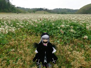 Rating: Safe Score: 0 Tags: 1girl black_dress doll dress flower gothic_lolita hairband hat lolita_fashion long_hair long_sleeves silver_hair solo suigintou User: admin