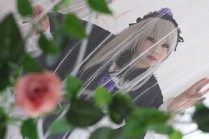 Rating: Safe Score: 0 Tags: 1girl blurry blurry_background blurry_foreground closed_mouth depth_of_field dress flower lips long_hair maid_headdress motion_blur photo rain ribbon rose solo suigintou User: admin