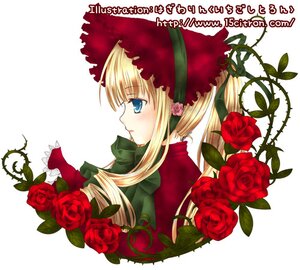 Rating: Safe Score: 0 Tags: 1girl blonde_hair blue_eyes flower image long_hair long_sleeves pink_rose profile red_flower red_rose rose shinku simple_background solo upper_body white_background User: admin