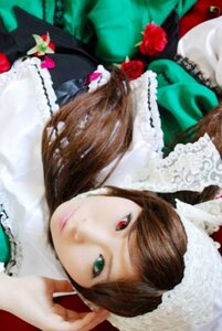 Rating: Safe Score: 0 Tags: 1girl blurry blurry_foreground brown_hair depth_of_field dress flower frills green_eyes heterochromia lips long_hair looking_at_viewer red_eyes solo souseiseki suiseiseki User: admin