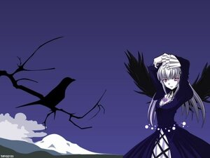 Rating: Safe Score: 0 Tags: 1girl black_wings dress frills image long_hair long_sleeves looking_at_viewer sky solo standing suigintou wings User: admin