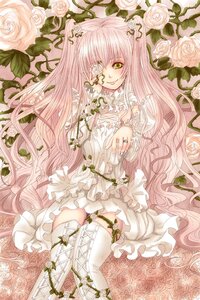 Rating: Safe Score: 0 Tags: 1girl cross dress eyepatch flower frills image joints kirakishou long_hair pink_flower pink_hair pink_rose plant ring rose smile solo thighhighs thorns very_long_hair vines white_flower white_rose yellow_eyes User: admin