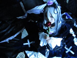 Rating: Safe Score: 0 Tags: 1girl black_dress closed_eyes dress flower frills gothic_lolita lolita_fashion long_hair rose solo suigintou User: admin