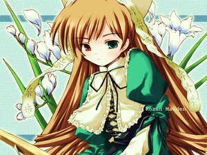 Rating: Safe Score: 0 Tags: 1girl blonde_hair brown_hair dress flower frills green_dress green_eyes heterochromia image long_hair long_sleeves looking_at_viewer red_eyes solo suiseiseki very_long_hair watering_can User: admin