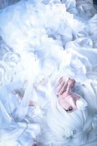 Rating: Safe Score: 0 Tags: 1girl animal_ears bangs blurry closed_mouth dress flower frills hair_ornament kirakishou lips lolita_fashion long_hair looking_at_viewer nail_polish ring solo too_many white_dress white_flower white_hair white_theme User: admin