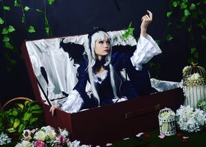 Rating: Safe Score: 0 Tags: 1girl dress flower long_hair plant sitting solo suigintou table white_hair User: admin