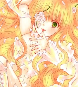 Rating: Safe Score: 0 Tags: 1girl blonde_hair dress flower frills green_eyes hair_flower hair_ornament image kirakishou long_hair petals rose rose_petals solo User: admin