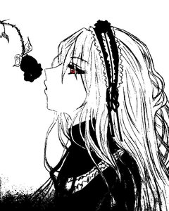 Rating: Safe Score: 0 Tags: 1girl butterfly flower frilled_hairband frills from_side gothic_lolita greyscale hairband image insect lolita_fashion lolita_hairband monochrome profile red_eyes simple_background solo spot_color suigintou white_background User: admin