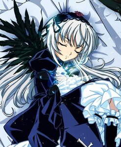 Rating: Explicit Score: 0 Tags: 1girl black_wings closed_eyes dress frills hairband image long_hair long_sleeves lying rose silver_hair sleeping solo suigintou wings User: admin