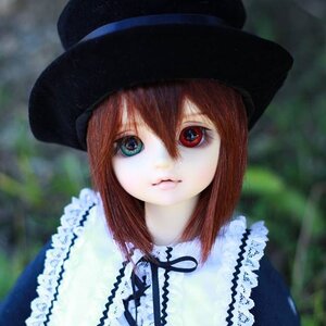 Rating: Safe Score: 0 Tags: 1girl bangs black_headwear blurry blurry_background brown_hair closed_mouth depth_of_field doll flower hair_between_eyes hat heterochromia looking_at_viewer red_eyes short_hair solo souseiseki upper_body User: admin