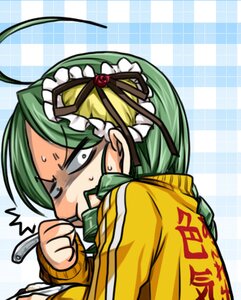 Rating: Safe Score: 0 Tags: 1girl ahoge checkered checkered_background flower green_eyes green_hair hood image kanaria long_hair mouth_hold ponytail solo User: admin