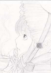 Rating: Safe Score: 0 Tags: 1girl bangs blush closed_mouth drill_hair eyebrows_visible_through_hair flower from_side hair_flower hair_ornament image long_hair monochrome portrait profile rose shinku simple_background solo white_background User: admin