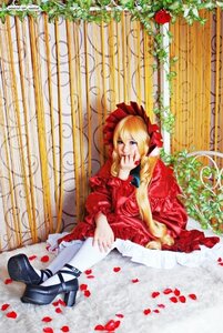 Rating: Safe Score: 0 Tags: 1girl blonde_hair blue_eyes bow dress flower long_hair long_sleeves mary_janes petals red_dress rose rose_petals shinku shoes sitting solo User: admin