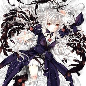 Rating: Safe Score: 0 Tags: 1girl black_feathers dress feathers flower image long_hair long_sleeves red_eyes ribbon rose solo suigintou traditional_media very_long_hair User: admin