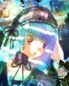 Rating: Safe Score: 0 Tags: 1girl blue_flower blue_rose flower image pink_rose red_eyes red_flower red_rose rose short_hair solo suigintou upper_body User: admin