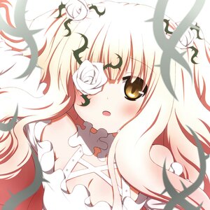 Rating: Safe Score: 0 Tags: 1girl bare_shoulders blonde_hair blush choker cleavage dress flower image kirakishou long_hair rose solo white_flower white_hair white_rose User: admin