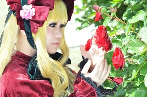 Rating: Safe Score: 0 Tags: 1girl bangs blonde_hair blue_eyes flower lace lips long_hair pink_rose profile red_flower red_rose rose shinku solo User: admin