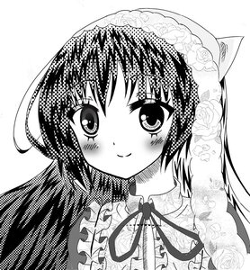 Rating: Safe Score: 0 Tags: 1girl blush flower greyscale image long_hair monochrome ribbon rose smile solo suiseiseki User: admin