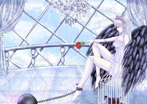 Rating: Safe Score: 0 Tags: 1girl bare_shoulders barefoot cage chain chained checkered checkered_floor cuffs curtains dress flower handcuffs image indoors long_hair red_flower red_rose rose shackles silver_hair sitting solo suigintou very_long_hair window User: admin