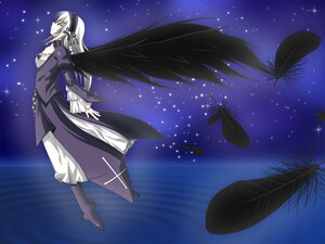 Rating: Safe Score: 0 Tags: 1girl black_wings boots bug butterfly dress flower frills image insect long_hair long_sleeves night night_sky shooting_star silver_hair sky solo star_(sky) starry_sky suigintou wings User: admin