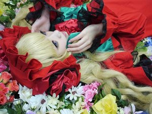 Rating: Safe Score: 0 Tags: 1girl blonde_hair blue_eyes bow dress drill_hair flower long_hair long_sleeves looking_at_viewer pale_skin red_dress rose shinku solo traditional_media User: admin