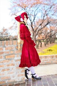 Rating: Safe Score: 0 Tags: 1girl animal_ears blurry blurry_background blurry_foreground cherry_blossoms day depth_of_field flower long_hair outdoors red_dress shinku solo standing tail tree white_legwear User: admin