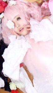 Rating: Safe Score: 0 Tags: 1girl animal_ears gloves kirakishou lips pink_hair realistic solo striped vertical_stripes User: admin