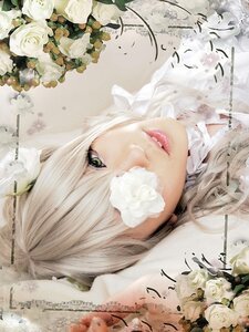 Rating: Safe Score: 0 Tags: 1boy face flower green_eyes kirakishou lips looking_at_viewer portrait rose solo white_flower white_hair white_rose User: admin