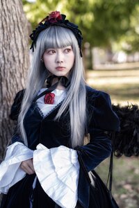 Rating: Safe Score: 0 Tags: 1girl black_dress blurry blurry_background brown_eyes depth_of_field dress flower lips long_hair long_sleeves silver_hair solo suigintou User: admin