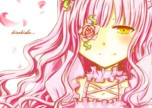 Rating: Safe Score: 0 Tags: 1girl blush flower image kirakishou long_hair petals pink_flower pink_hair pink_rose rose solo yellow_eyes User: admin