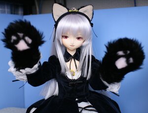 Rating: Safe Score: 3 Tags: 1girl animal_ears blurry cat_ears doll dress fur_trim gothic_lolita lolita_fashion long_hair long_sleeves looking_at_viewer ribbon silver_hair solo suigintou sunglasses User: admin