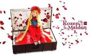 Rating: Safe Score: 0 Tags: 1girl blonde_hair blue_eyes dress flower long_hair petals red_flower red_rose rose rose_petals shinku sitting solo User: admin