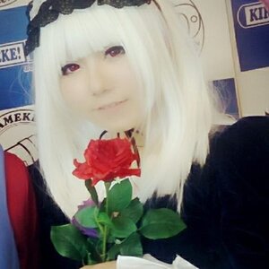 Rating: Safe Score: 0 Tags: 1girl blurry closed_mouth flower lips looking_at_viewer rose solo suigintou User: admin