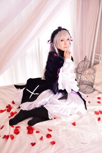 Rating: Safe Score: 0 Tags: 1girl black_legwear curtains flower frills hairband lips long_sleeves looking_at_viewer petals ribbon rose sitting solo suigintou thighhighs User: admin