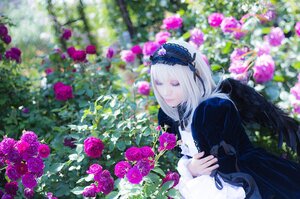 Rating: Safe Score: 0 Tags: 1girl bangs black_dress blurry blurry_background closed_mouth depth_of_field dress flower gothic_lolita hairband hydrangea lolita_fashion long_hair long_sleeves outdoors pink_flower purple_flower purple_rose red_flower ribbon rose solo suigintou upper_body white_hair wings User: admin