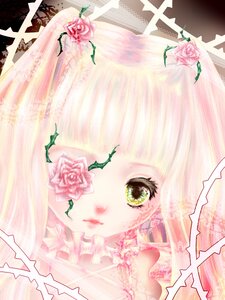 Rating: Safe Score: 0 Tags: 1girl face flower green_eyes image kirakishou lips pink_flower pink_hair pink_rose red_flower red_rose rose solo thorns white_rose User: admin