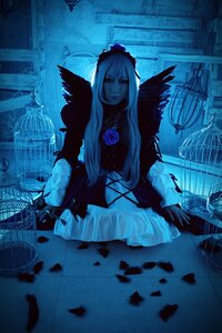 Rating: Safe Score: 0 Tags: 1girl bird birdcage blue_theme cage crow dress feathers flower indoors long_hair rose sitting solo suigintou User: admin