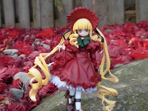 Rating: Safe Score: 0 Tags: 1girl auto_tagged blonde_hair blue_eyes blurry bow bowtie capelet depth_of_field doll dress drill_hair frills long_hair long_sleeves looking_at_viewer outdoors pantyhose shinku shoes sitting solo standing twintails very_long_hair white_legwear User: admin