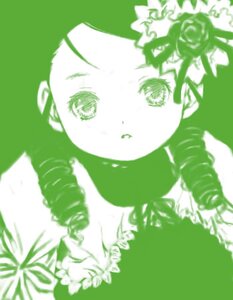 Rating: Safe Score: 0 Tags: 1girl blurry blush depth_of_field drill_hair flower green_background green_eyes green_theme image kanaria leaf looking_at_viewer monochrome plant ringlets rose simple_background solo twin_braids User: admin