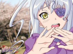 Rating: Safe Score: 0 Tags: 1girl barasuishou blue_rose blurry eyepatch flower image long_hair open_mouth purple_flower purple_rose rose silver_hair solo yellow_eyes User: admin