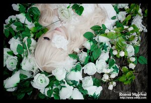 Rating: Safe Score: 0 Tags: 1girl flower kirakishou leaf letterboxed long_hair plant rose solo white_flower white_hair white_rose User: admin