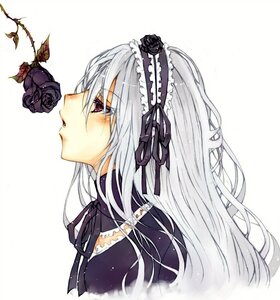 Rating: Safe Score: 0 Tags: 1girl black_flower black_ribbon black_rose flower gothic_lolita hairband image lolita_fashion long_hair purple_rose red_flower red_rose ribbon rose silver_hair solo suigintou User: admin