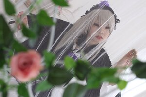 Rating: Safe Score: 0 Tags: 1girl 3d blurry blurry_background blurry_foreground depth_of_field dress flower hair_ribbon lips long_hair motion_blur photo ribbon rose silver_hair solo suigintou User: admin