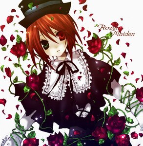 Rating: Safe Score: 0 Tags: 1girl dress flower green_eyes hat heterochromia image lolita_fashion petals plant red_eyes red_flower red_rose rose rose_petals short_hair solo souseiseki thorns vines User: admin