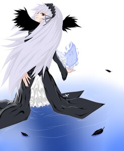 Rating: Safe Score: 0 Tags: 1girl black_wings dress feathers flying frilled_sleeves frills hairband image long_hair long_sleeves looking_at_viewer looking_back silver_hair solo standing suigintou very_long_hair wings User: admin