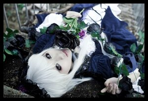 Rating: Safe Score: 0 Tags: 1girl auto_tagged black_border blurry depth_of_field flower letterboxed lips looking_at_viewer plant rose solo suigintou white_hair User: admin