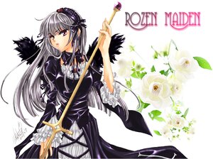 Rating: Safe Score: 0 Tags: 1girl dress flower frilled_sleeves frills hairband holding image lolita_hairband long_hair long_sleeves looking_at_viewer pink_eyes purple_eyes rose signature silver_hair solo suigintou white_background User: admin