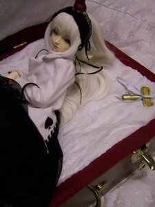 Rating: Safe Score: 0 Tags: 1girl doll dress flower frills long_hair long_sleeves solo suigintou white_hair User: admin